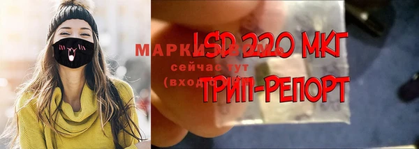 spice Горняк