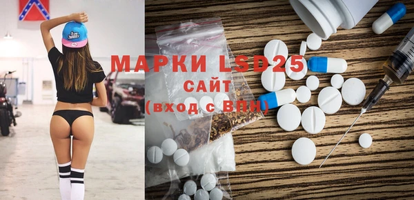 spice Горняк
