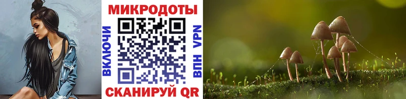 Галлюциногенные грибы мицелий  Купить  Фролово 